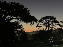 Early morning delights