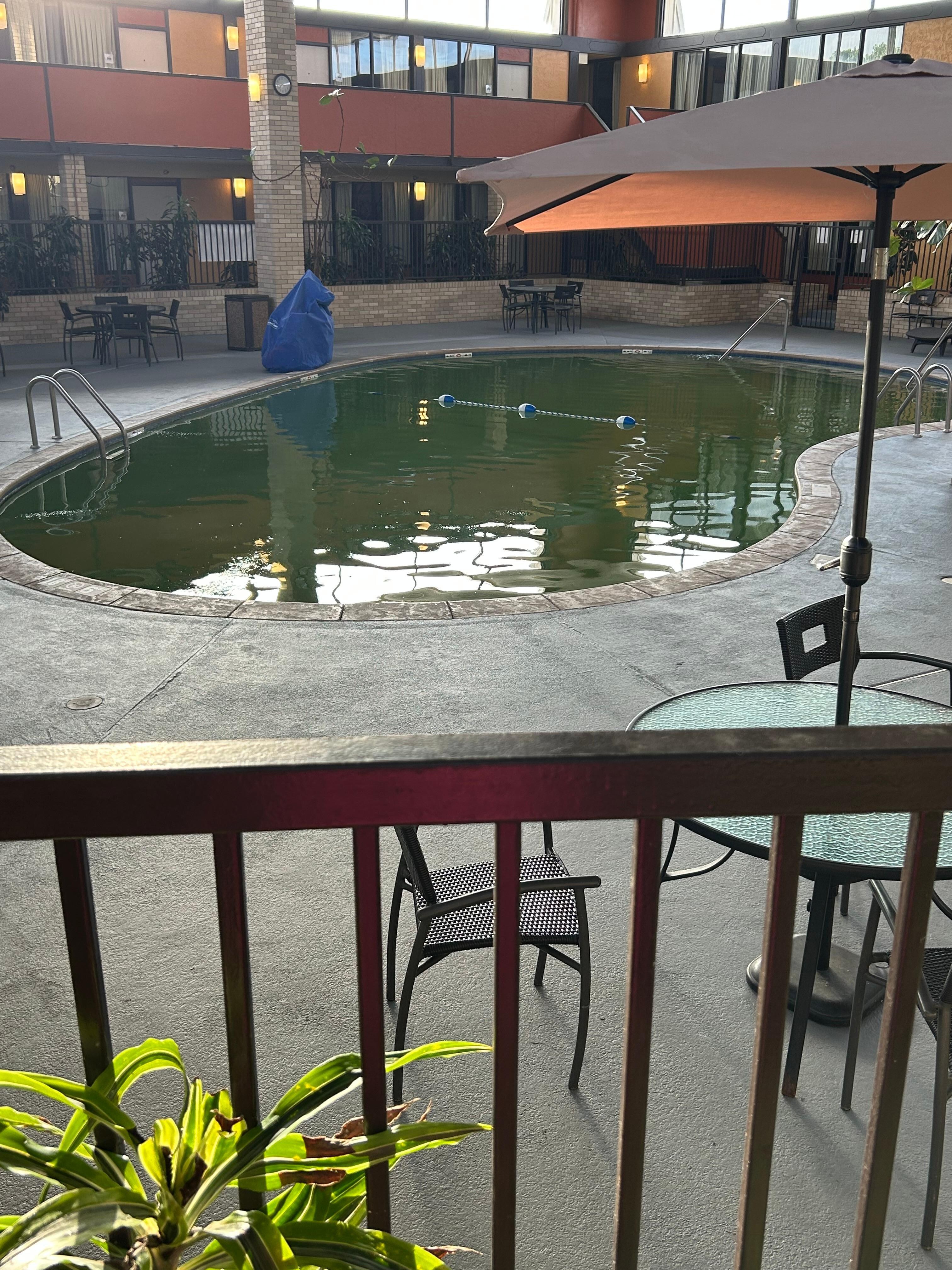 They kept telling us they would open the pool the next day, when it was far from being able to open, and the security guard even told us the front desk was lying about it. 
