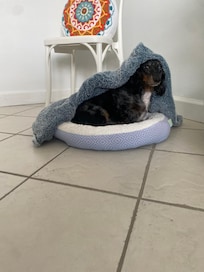 Stella loved the space. But the stairs were scary.