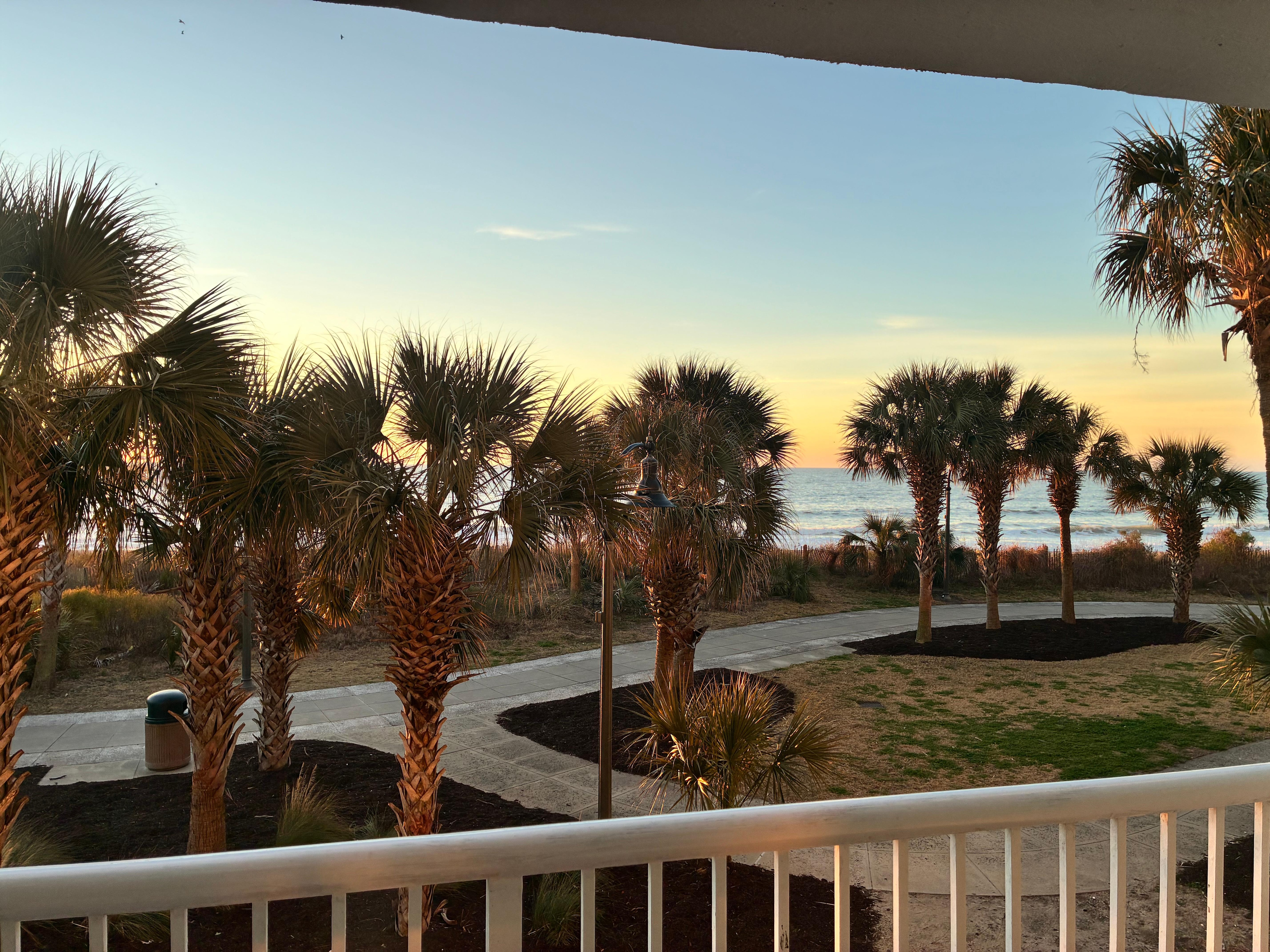 View out the patio door 