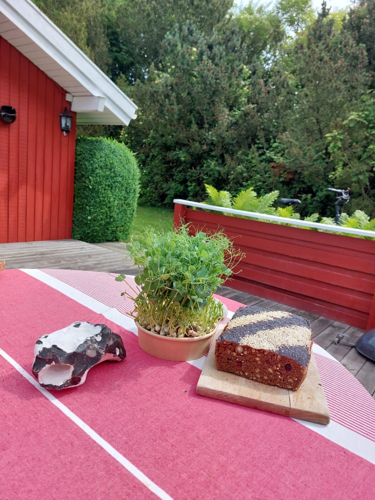 Bäckerei in Lohals- unbedingt besuchen