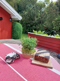 BĂ€ckerei in Lohals- unbedingt besuchen