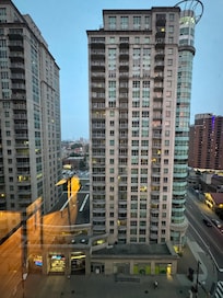 The view