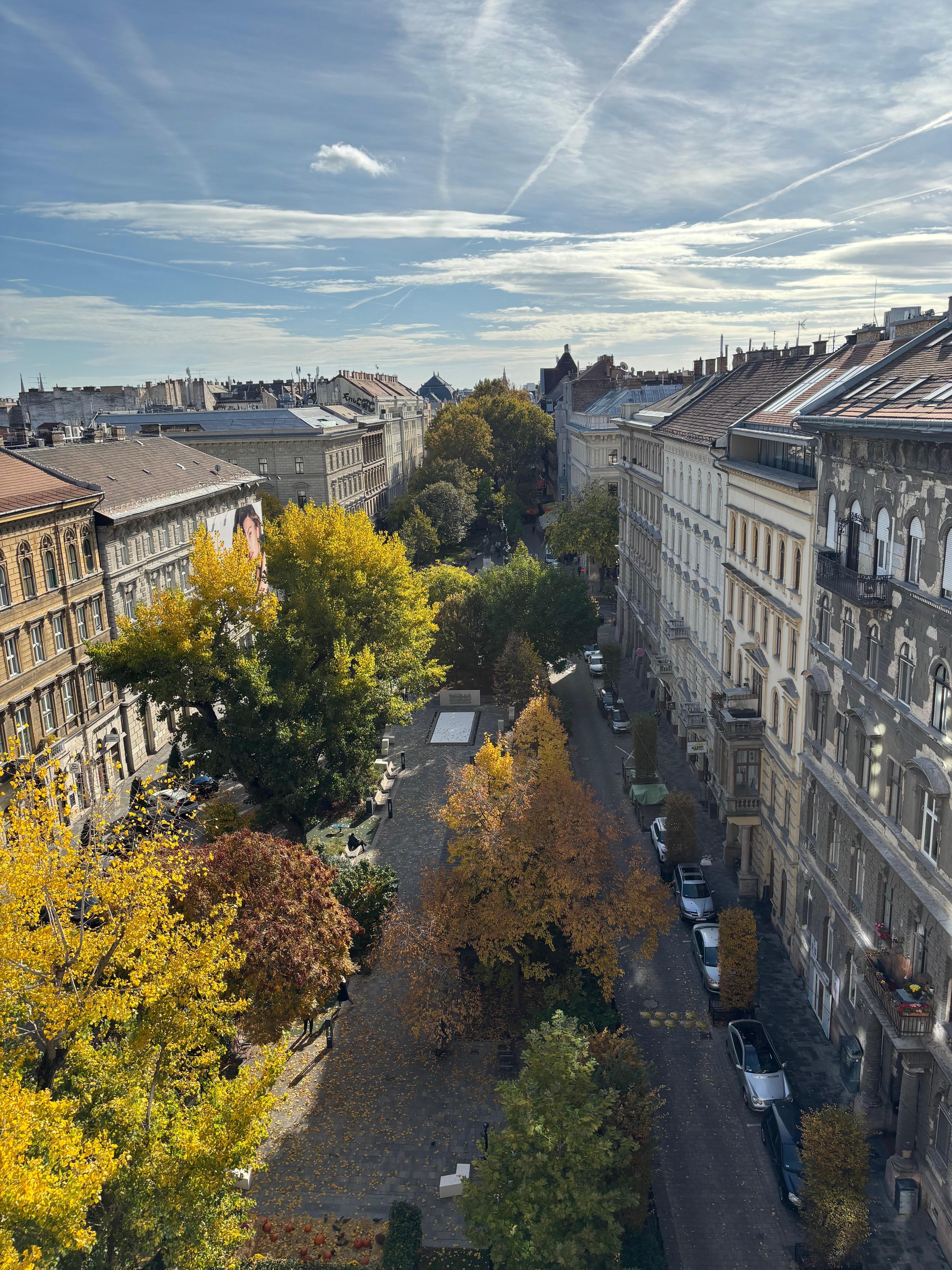 静かな周辺環境