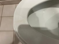 Dirt on toilet seat