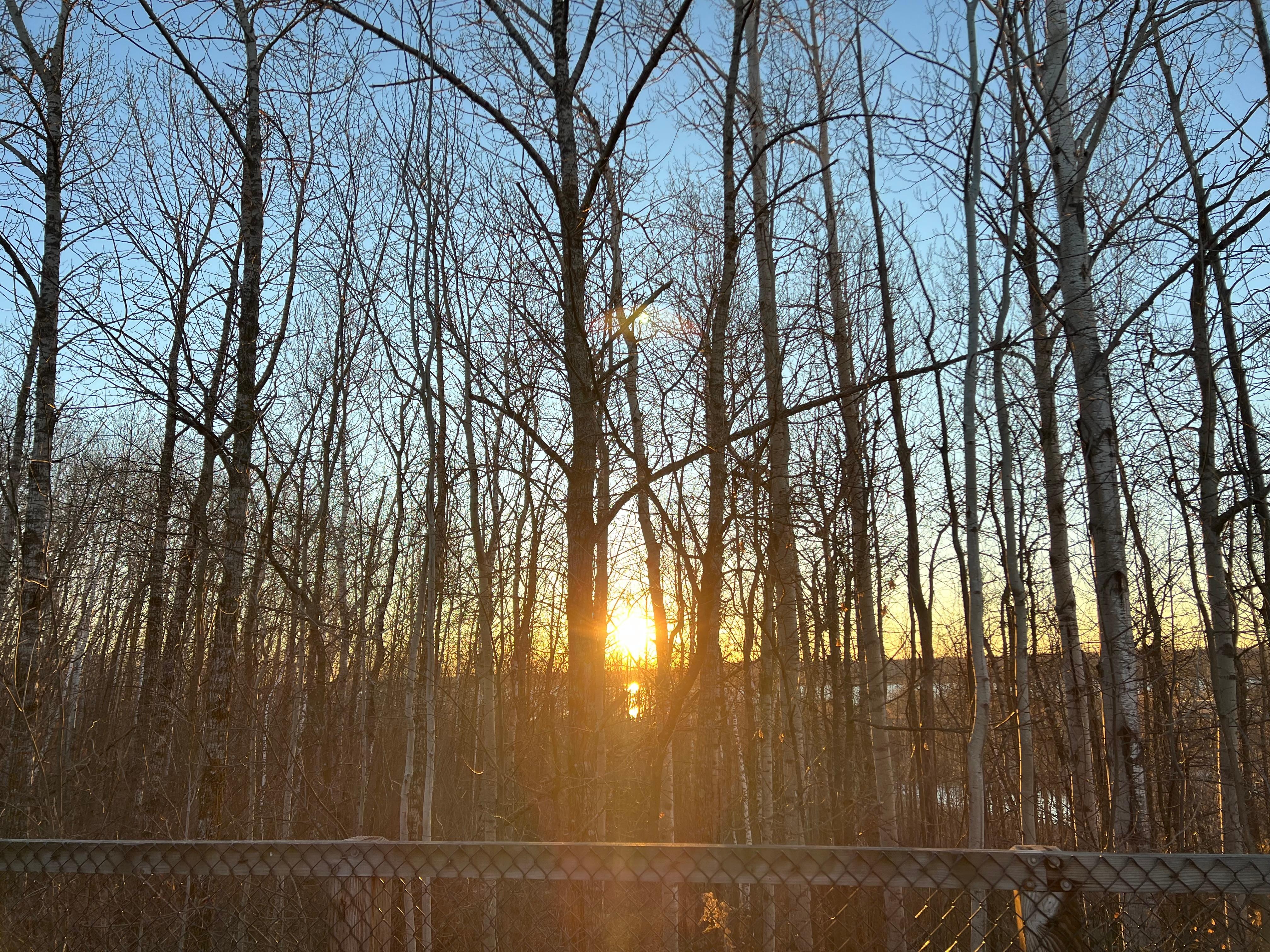 Beautiful walking paths nearby. 