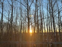 Beautiful walking paths nearby.