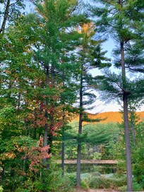Looking out the back slider of the home.