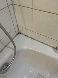 Mold