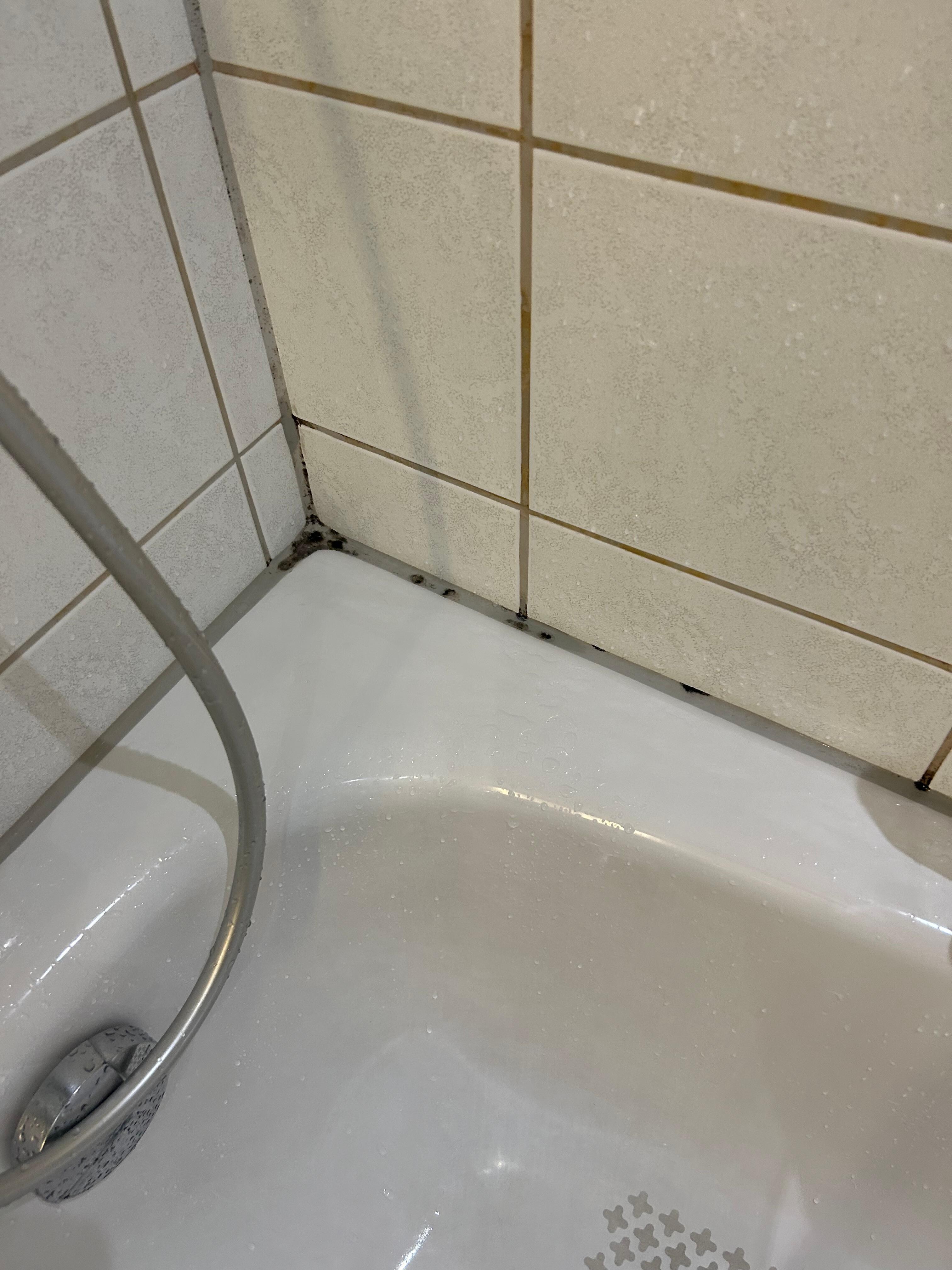 Mold