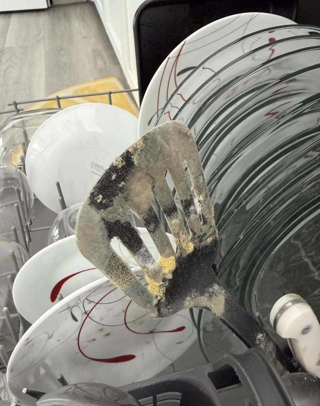 Moldy plates and Utensils. All of the forks and knives had this. 