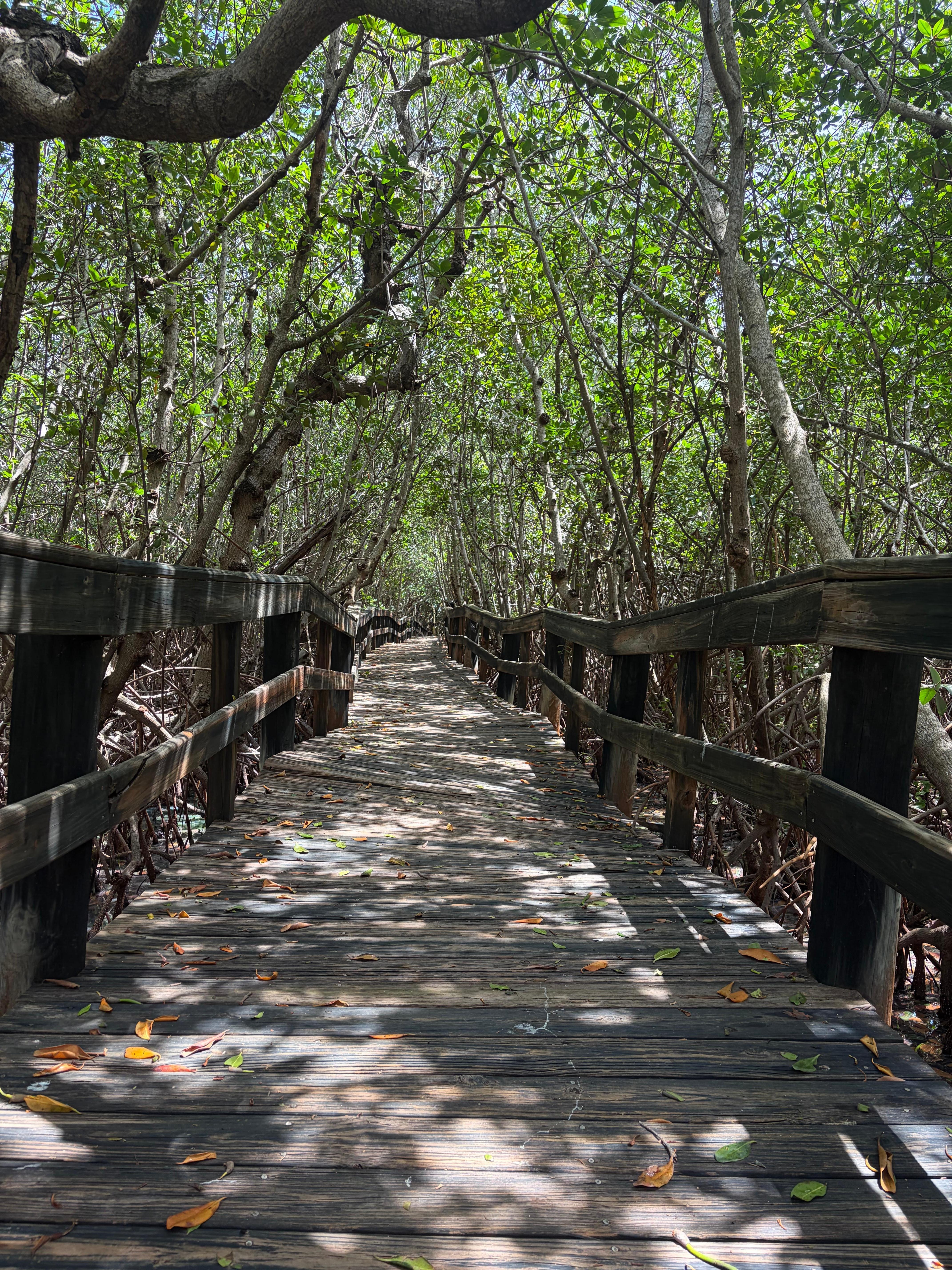 Nature walk at the Florida Oceanographic Coastal Center in Stuart