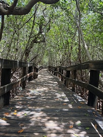 Nature walk at the Florida Oceanographic Coastal Center in Stuart