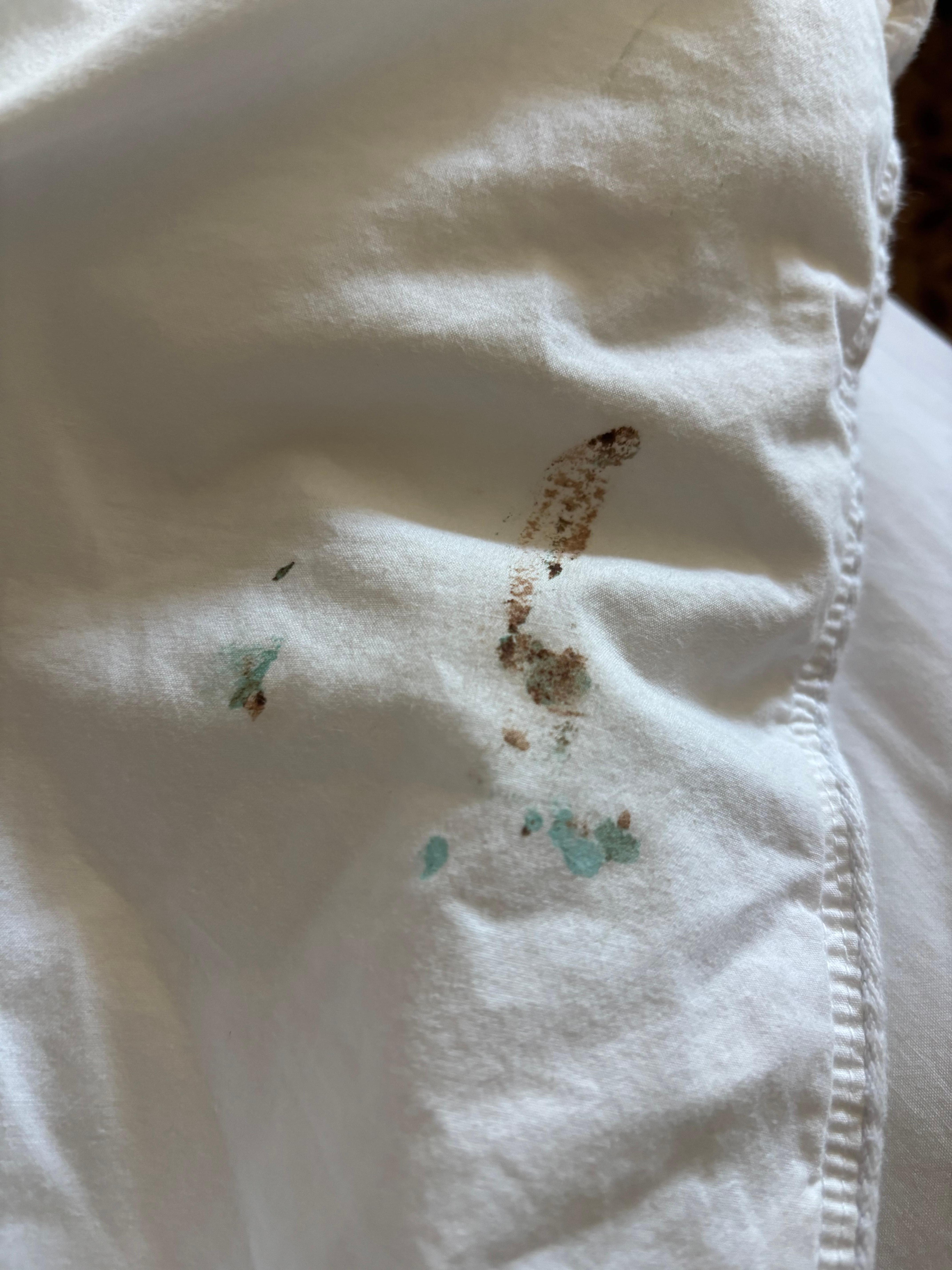 Stains on bed sheets 