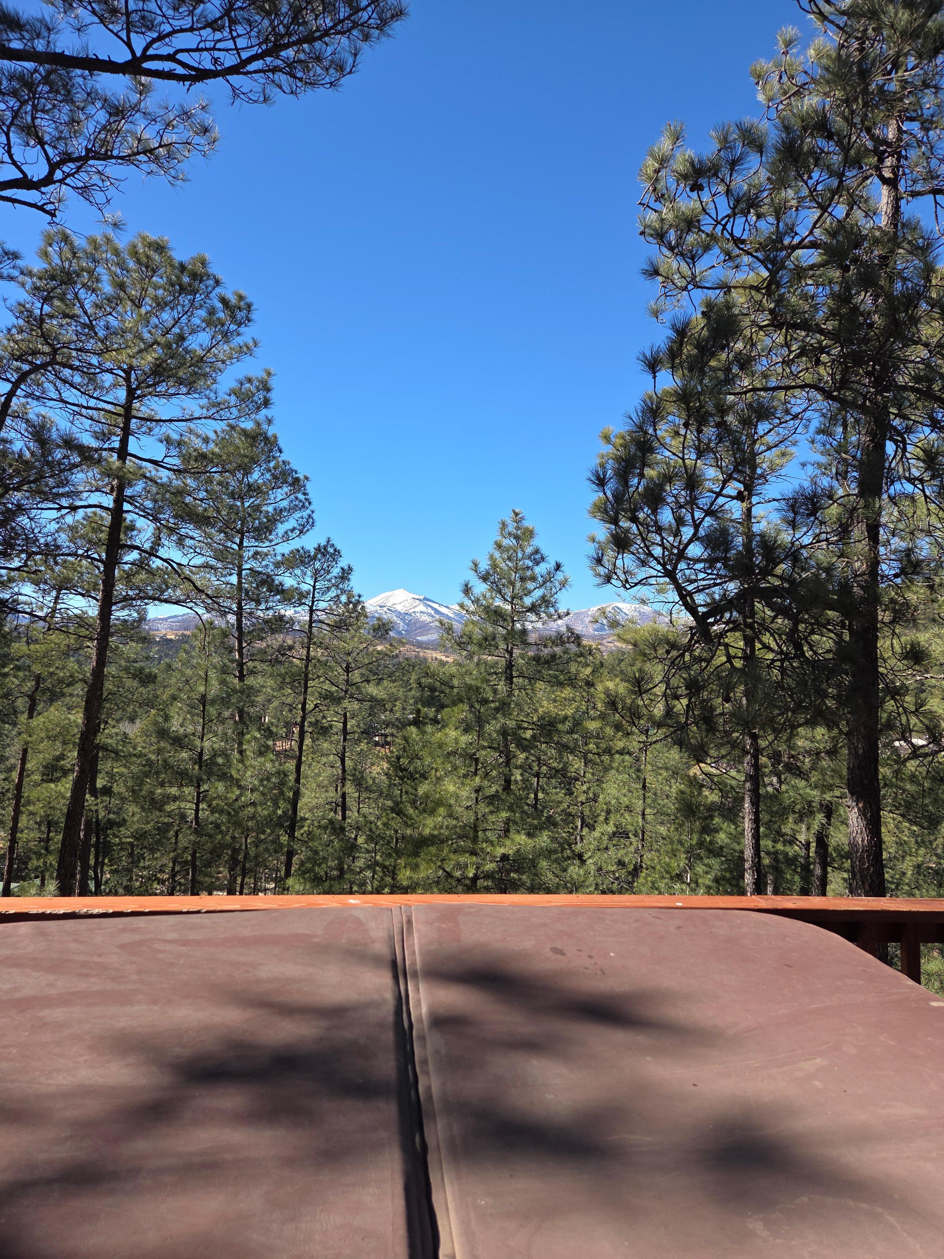 Beautiful view as soon as you go to the back area