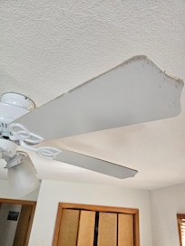 One of all dirty fans