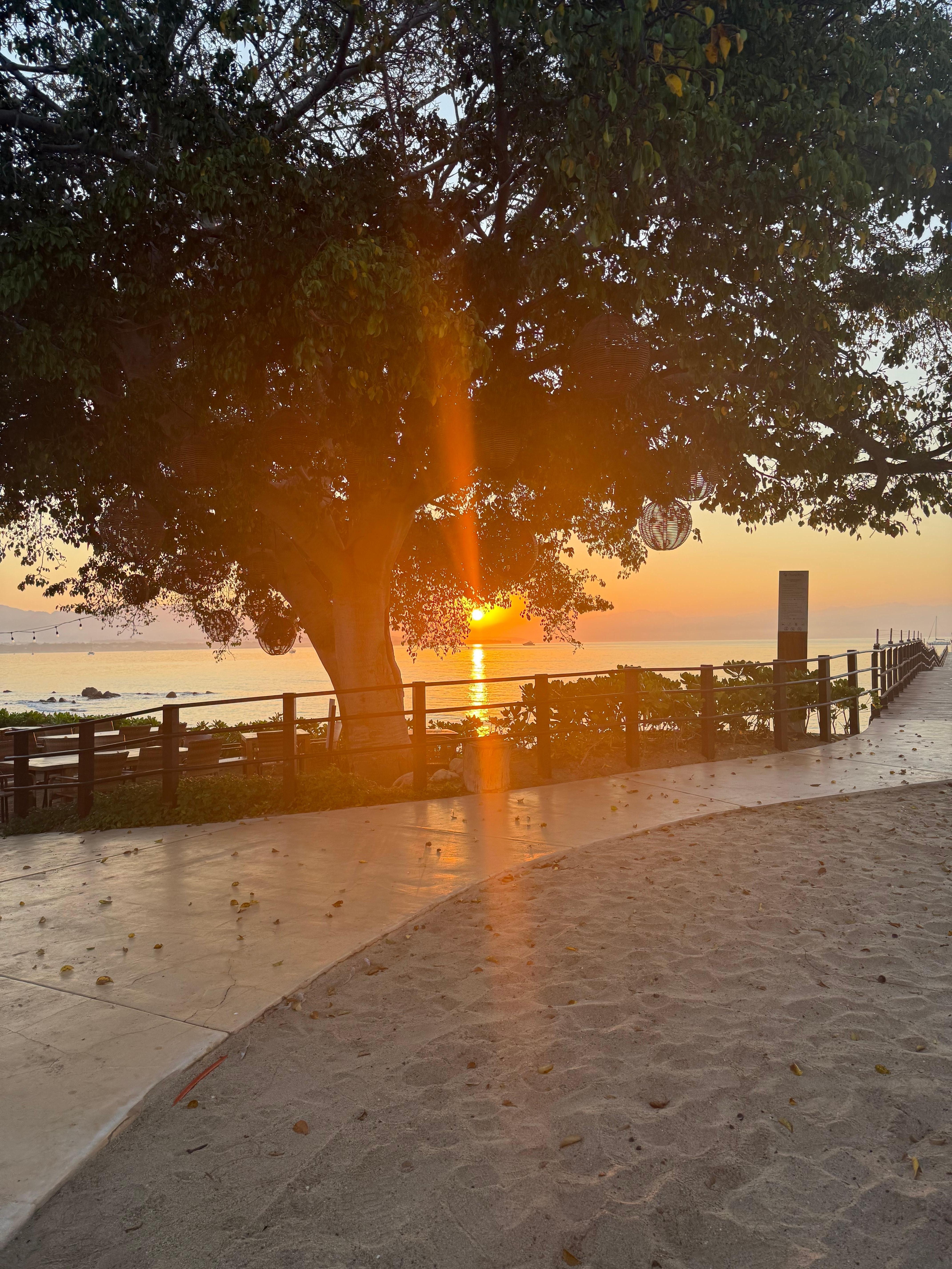 From Sufi Beach Club