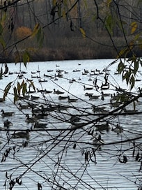 L’étang Burbank a visité (15minutes en auto)