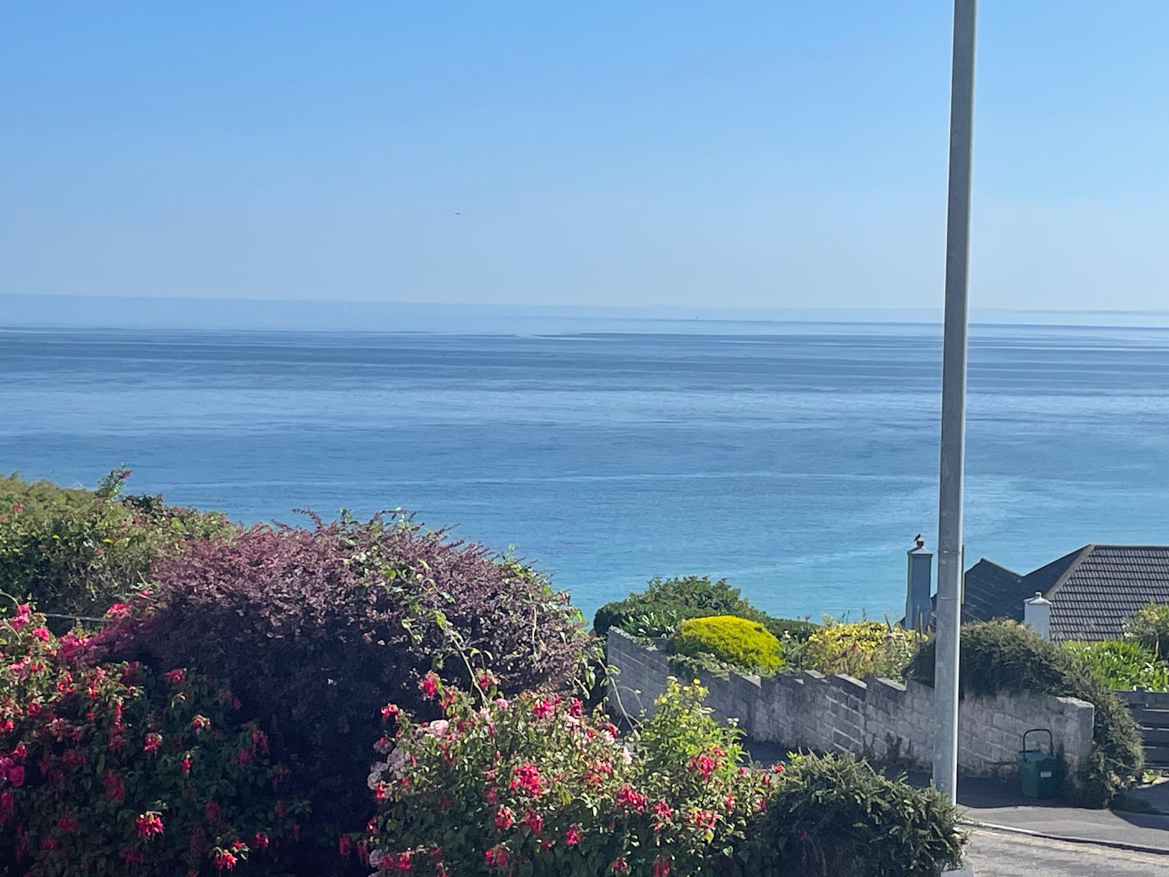 View from the front room 