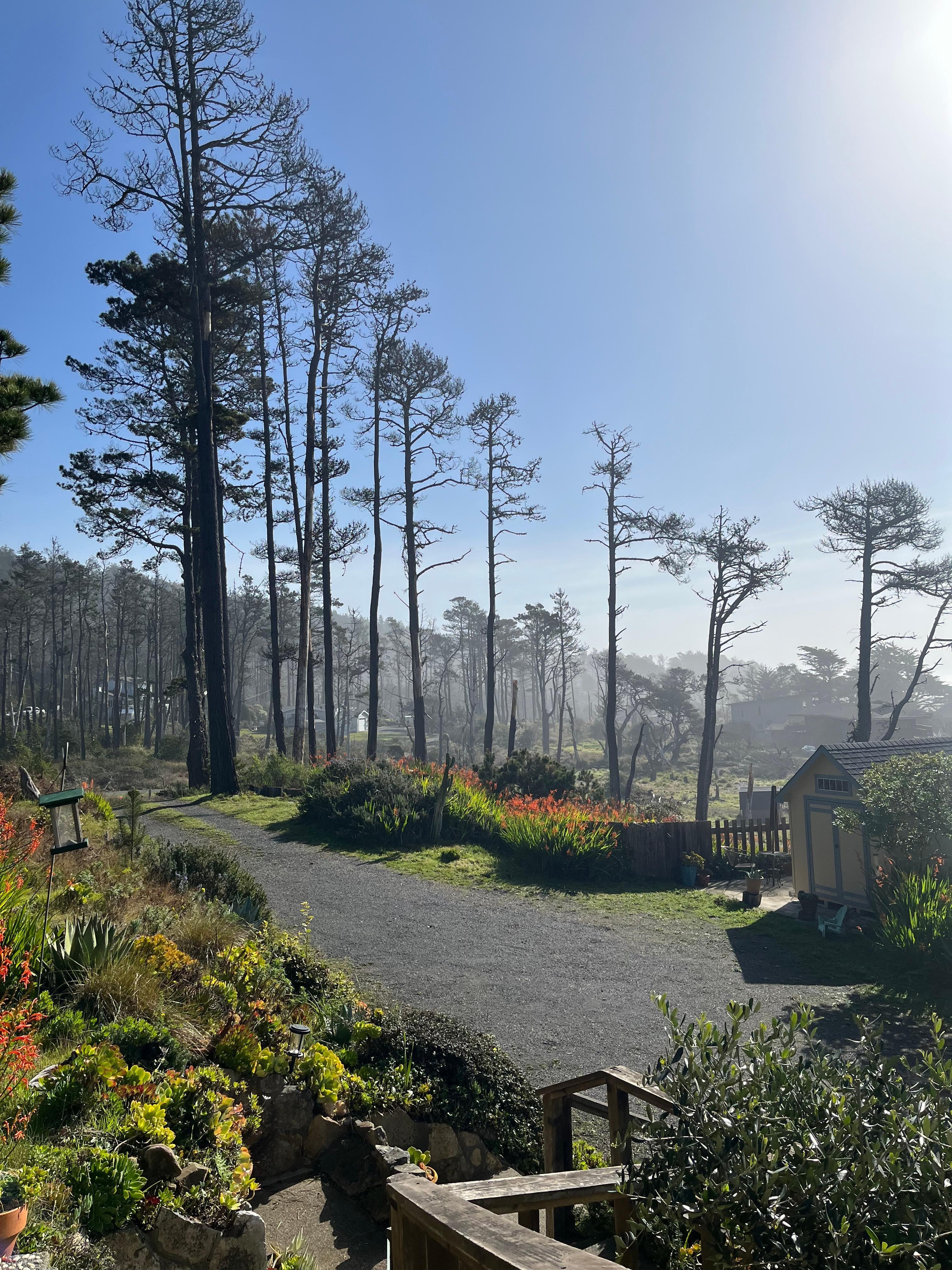 Long views from every window. 