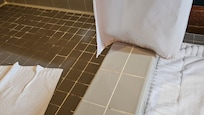 moldy shower