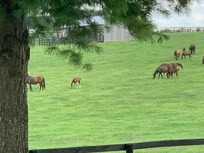 A view from front window.