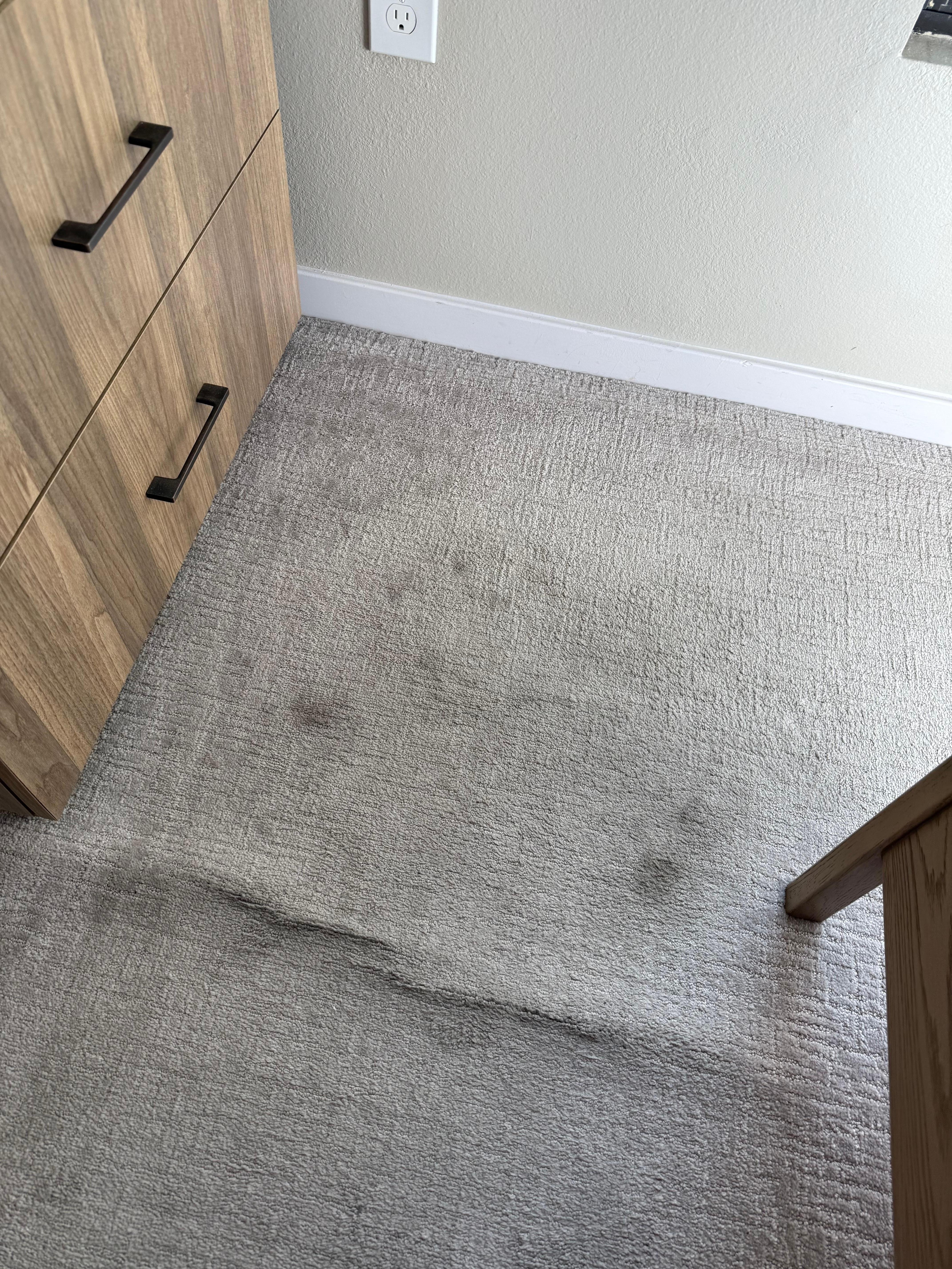 Carpet in bedroom.  