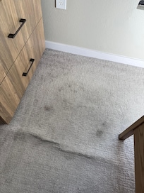 Carpet in bedroom.