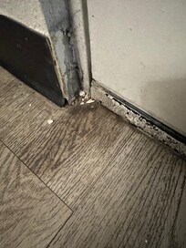 Mold in corners, under doors, floors were not cleaned.