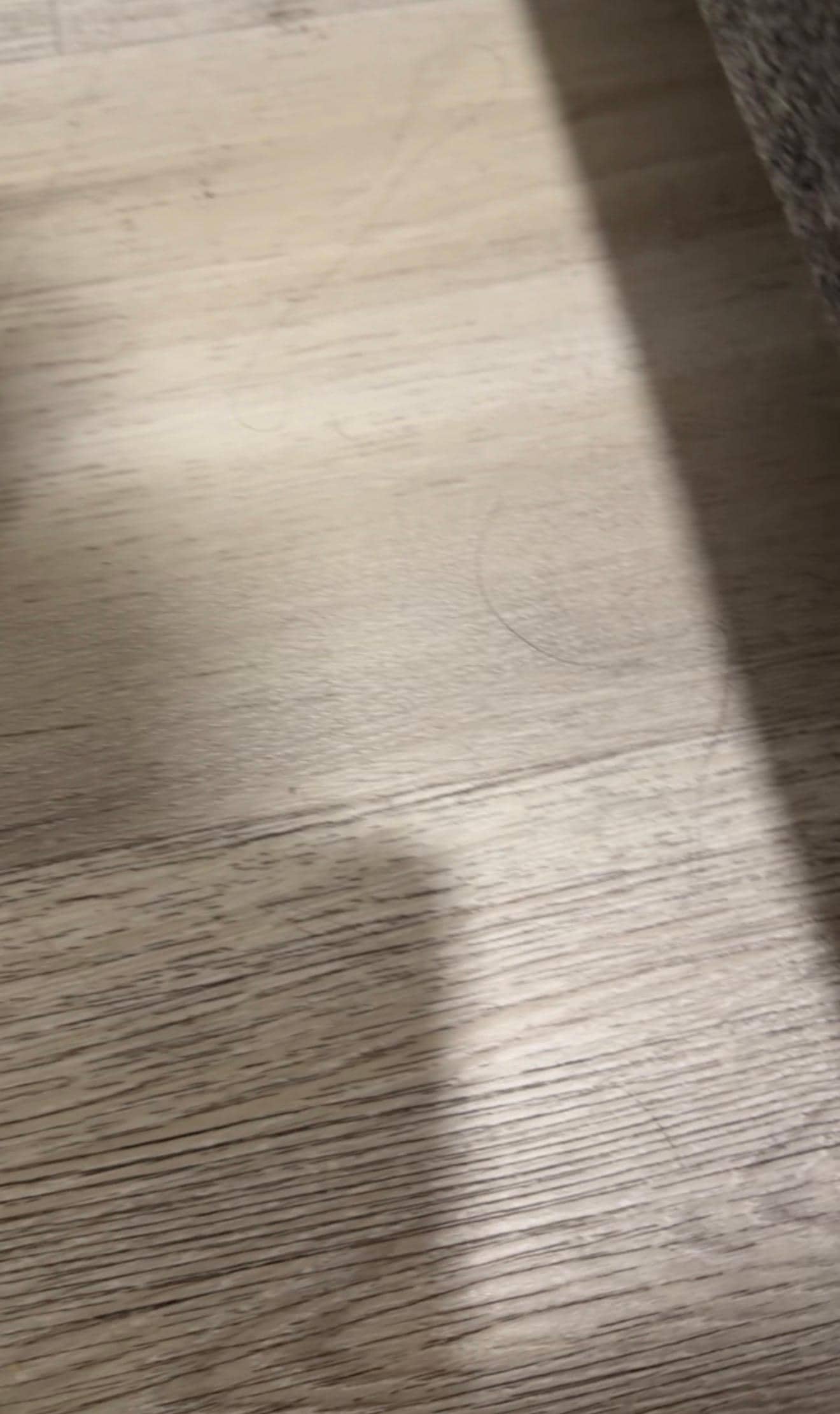 Hair all over the floor