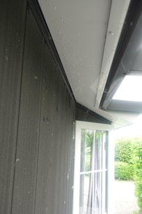 Spinnweben um das ganze Chalet herum.