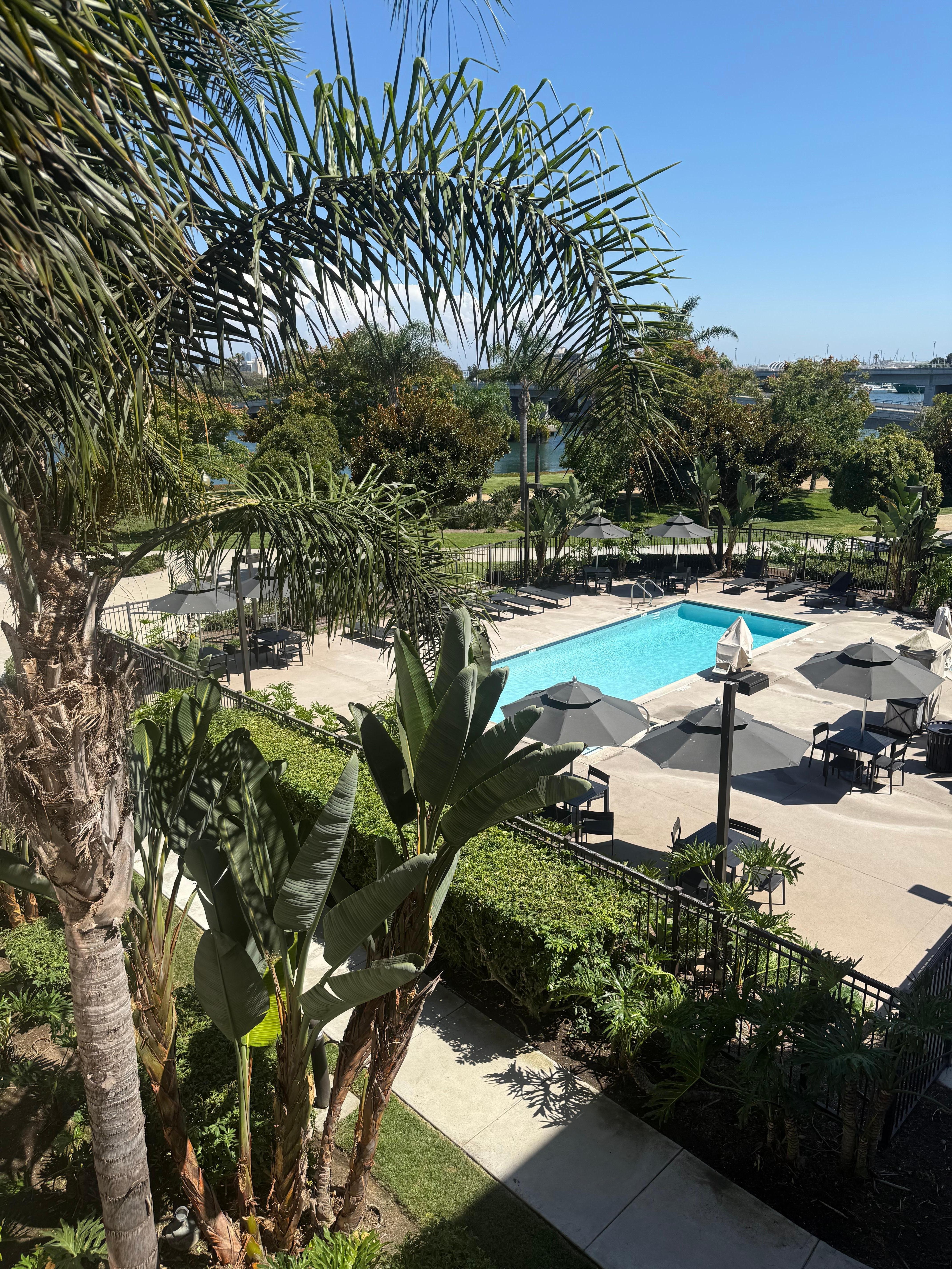 Pool area view from room … walking trail behind  pool area ,,, nice bridge .