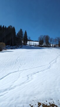 Schlittenfahren direkt hinterm Haus