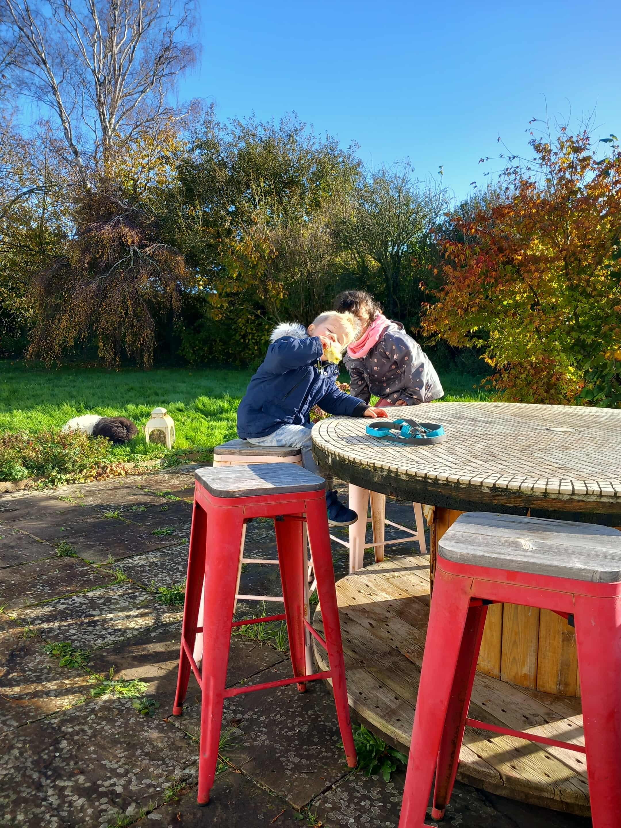 Table de jardin original et bbq