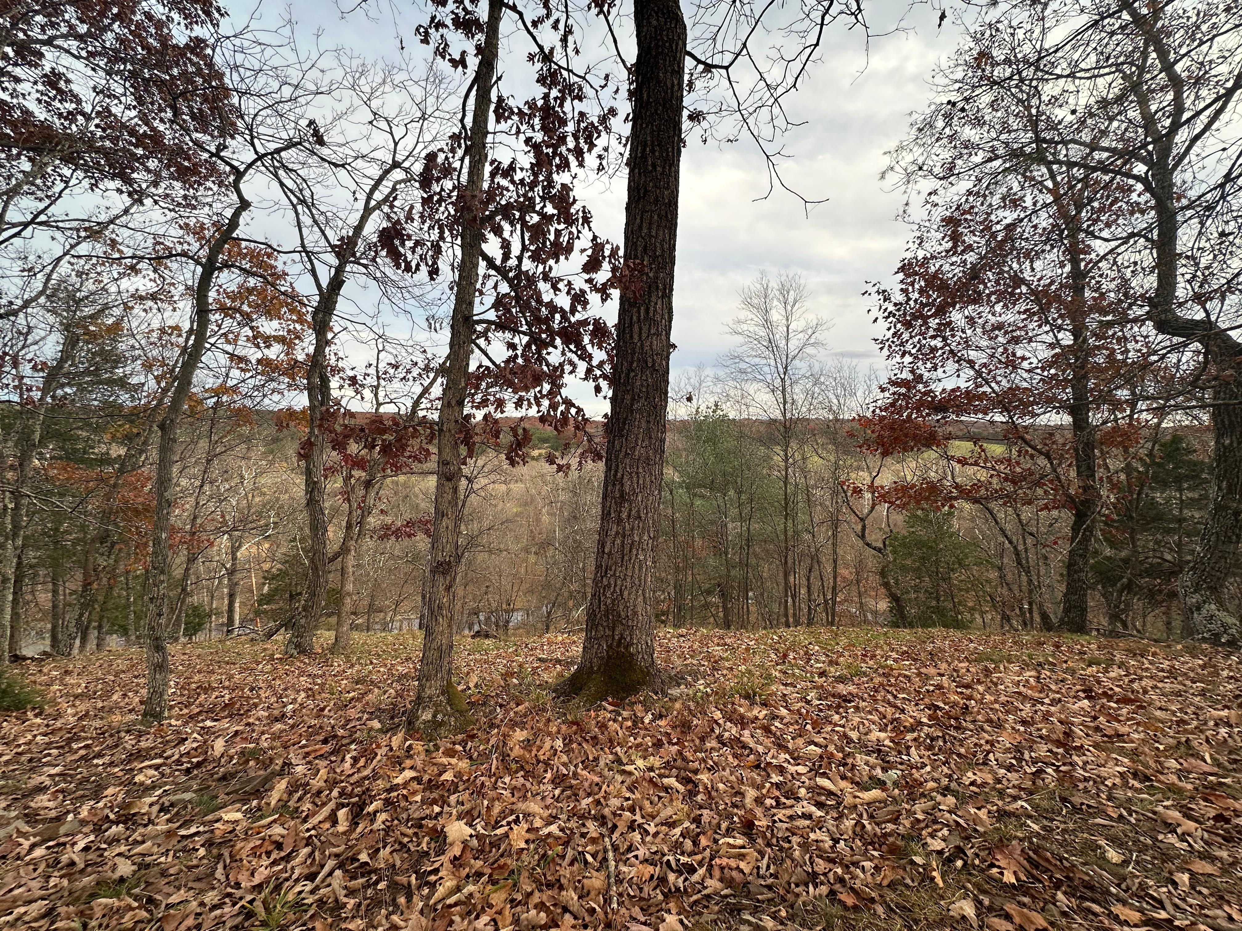 View from the point at the house 
