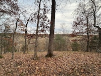 View from the point at the house