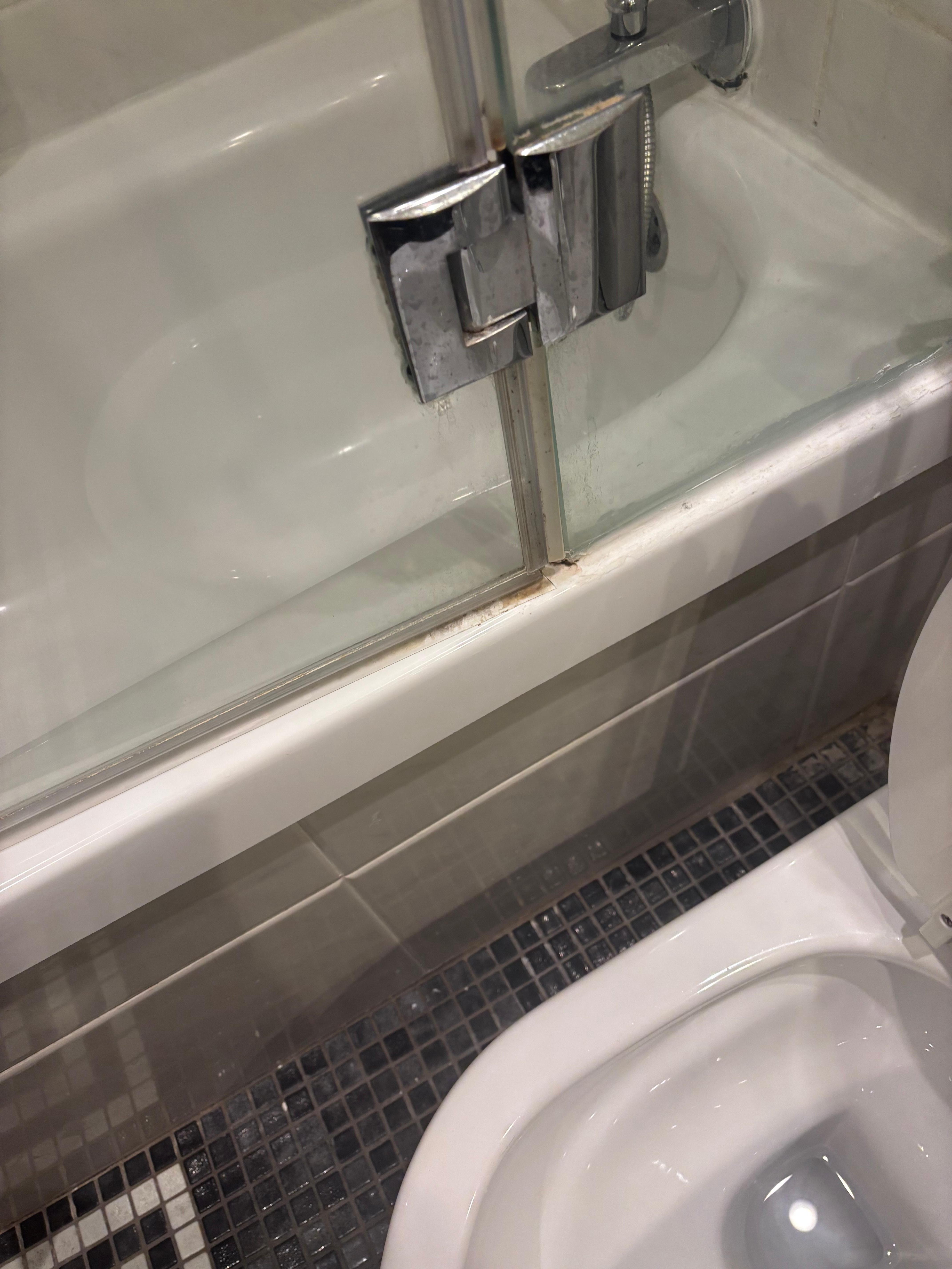 Rust, mold, and grime on the shower door frame — the kind of detail that shows zero maintenance and zero pride in presentation.