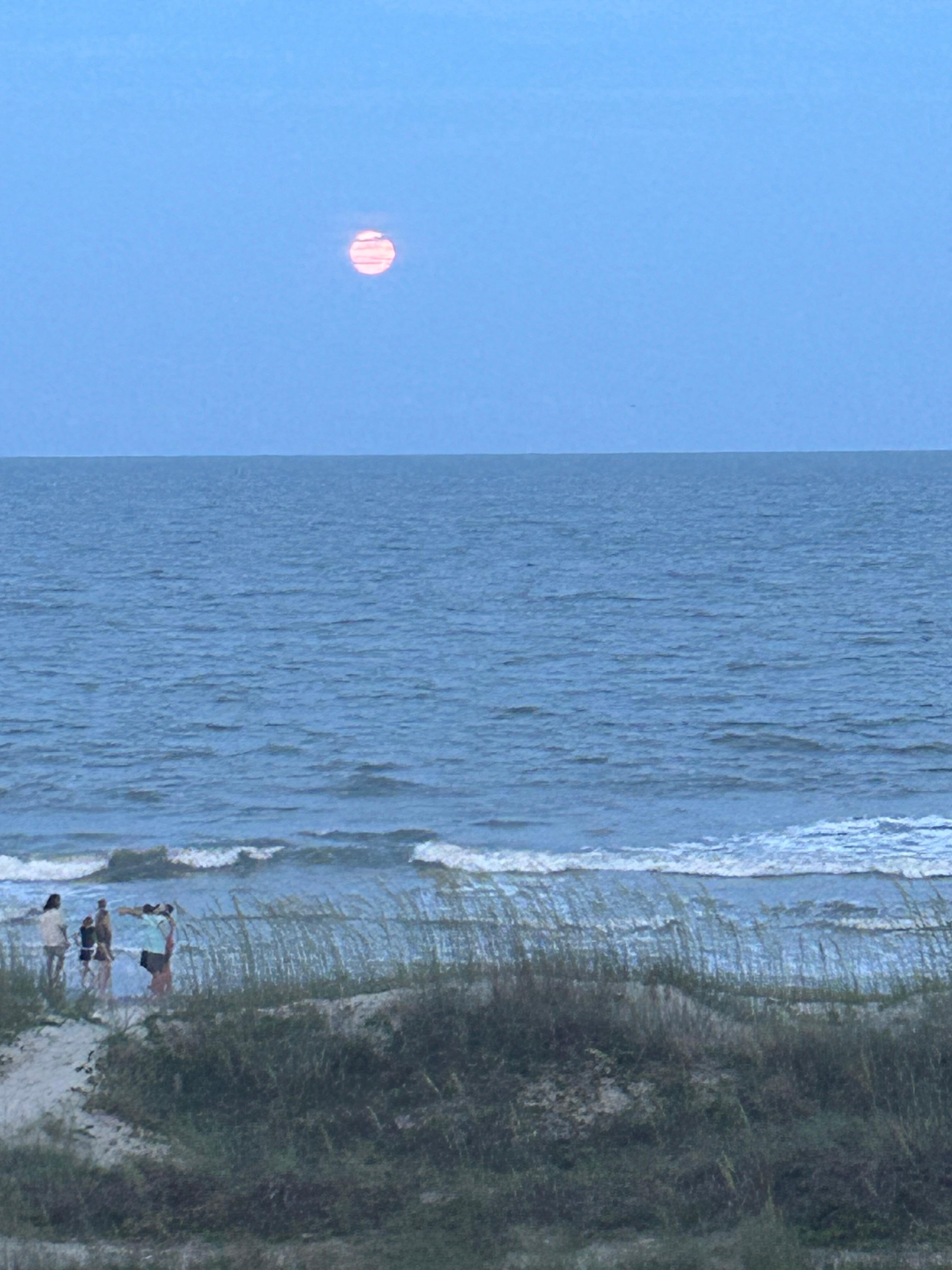 Moon view