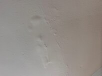 Above the living room leak smelled like mold