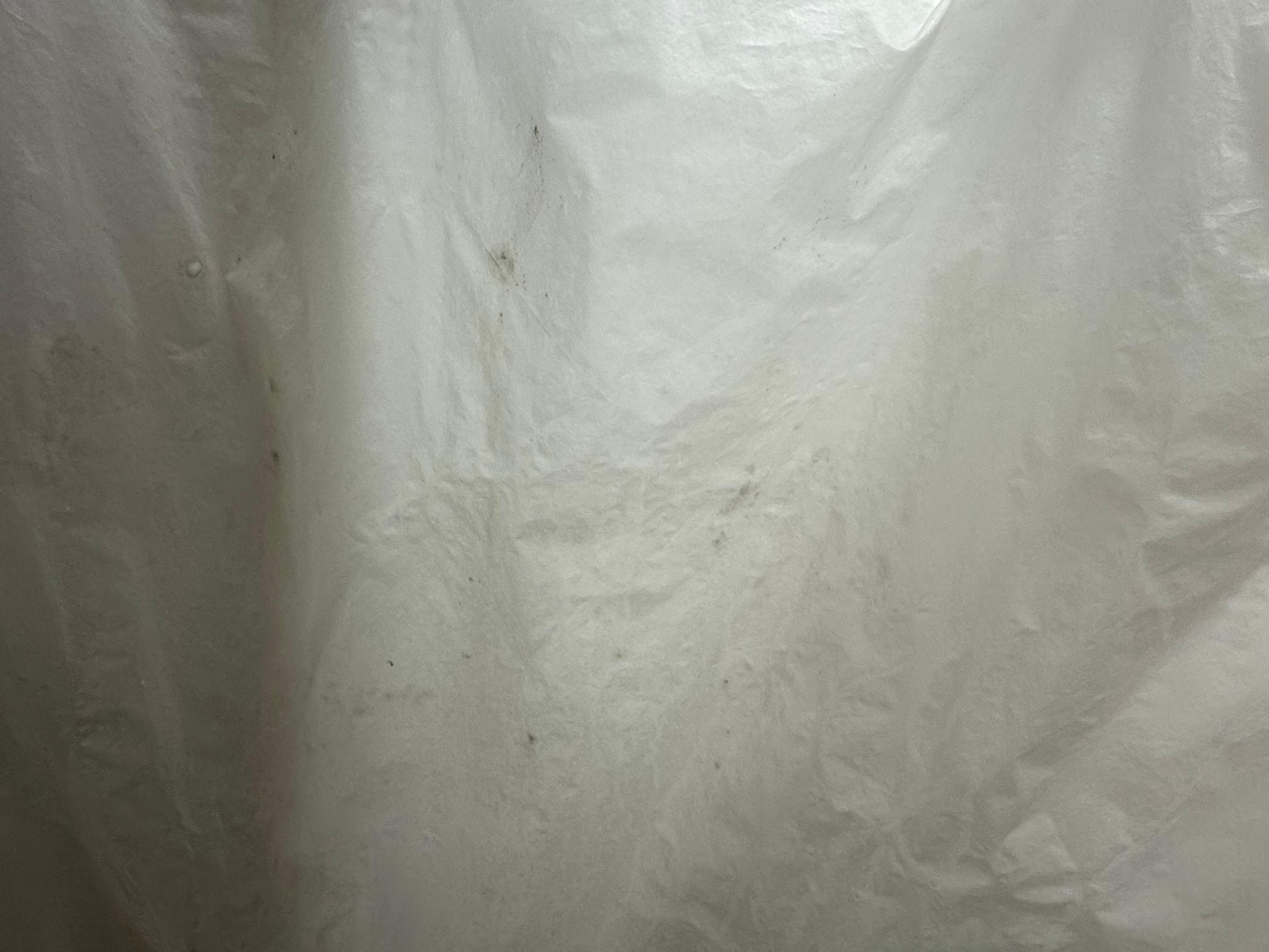 black mold on shower curtains 