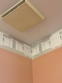 Mold again