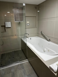 Banheira de hidro e chuveiro separados.