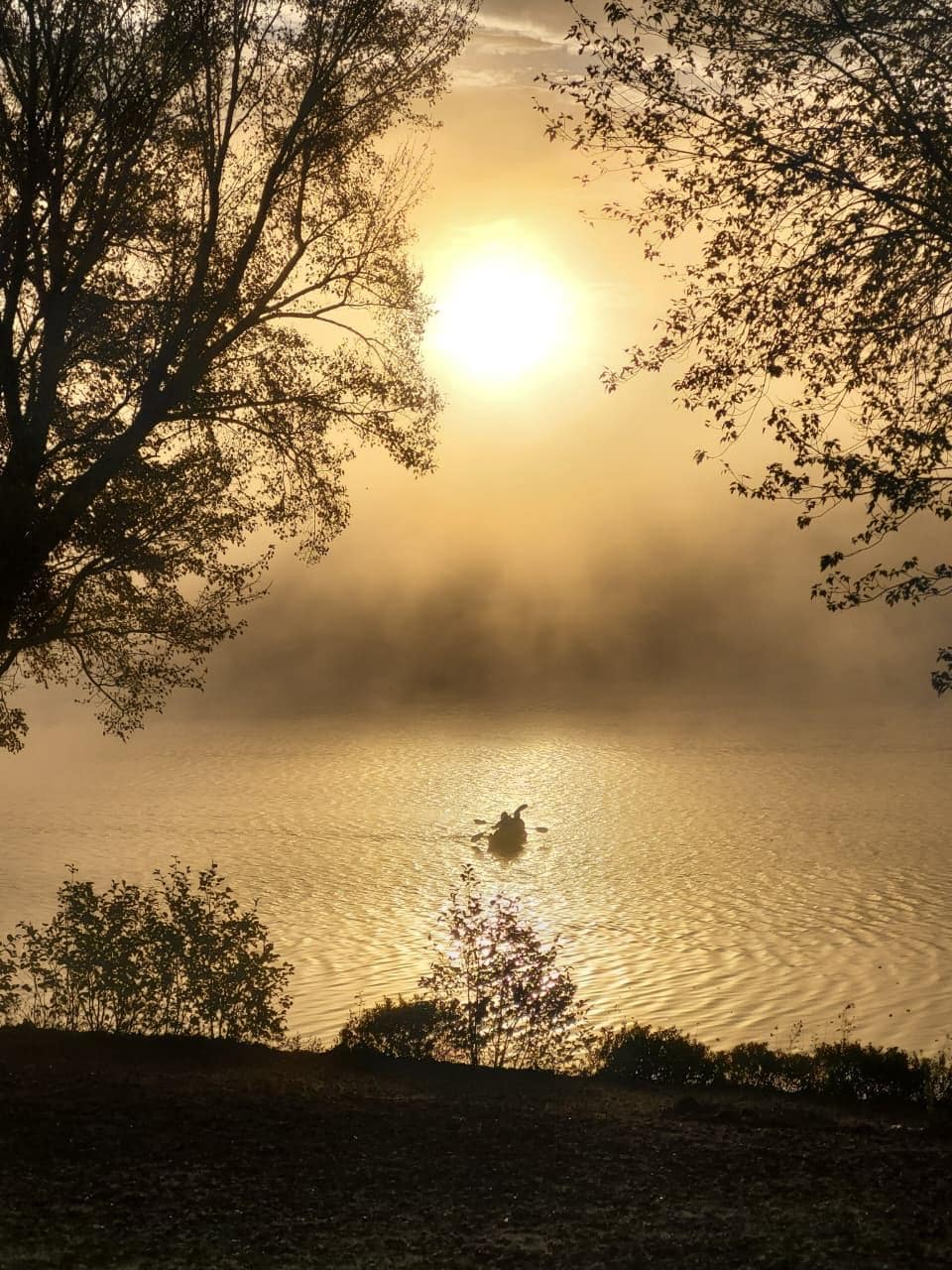 Beautiful morning sunrise and the fog and the kayaking , best combo, view from the cottage 