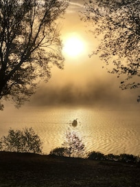 Beautiful morning sunrise and the fog and the kayaking , best combo, view from the cottage