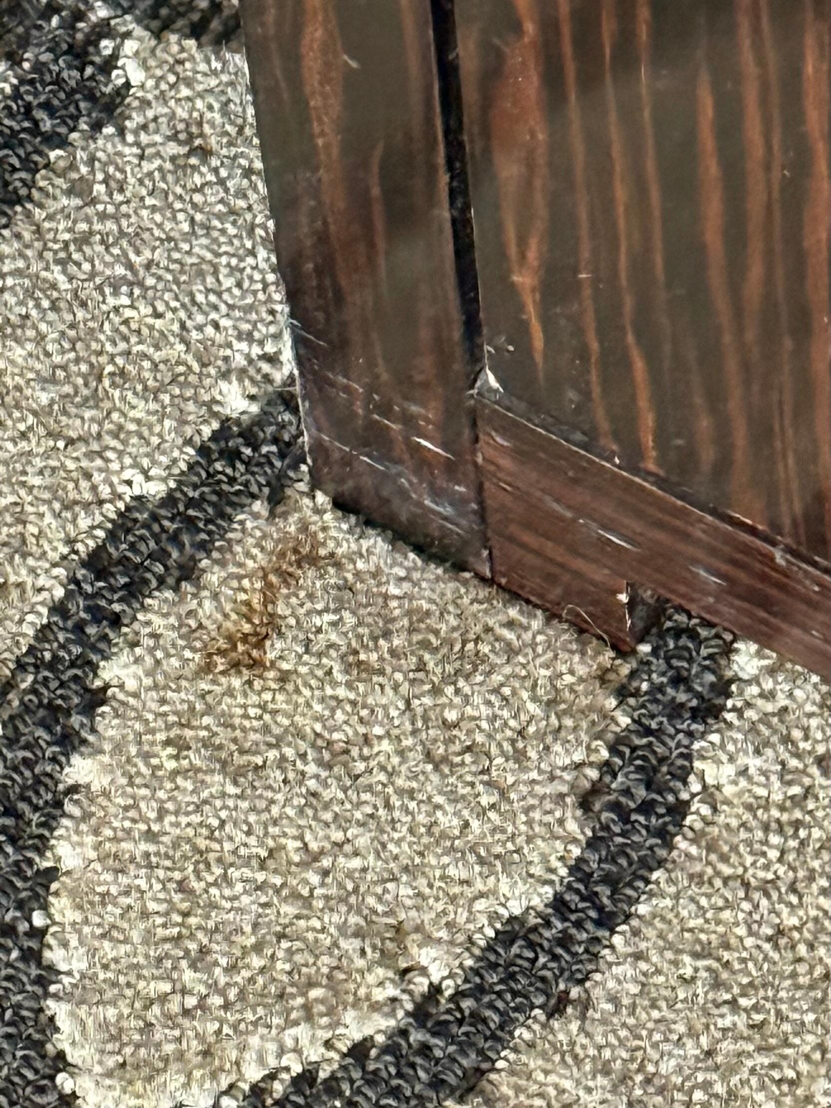 Stained carpet in the room.  