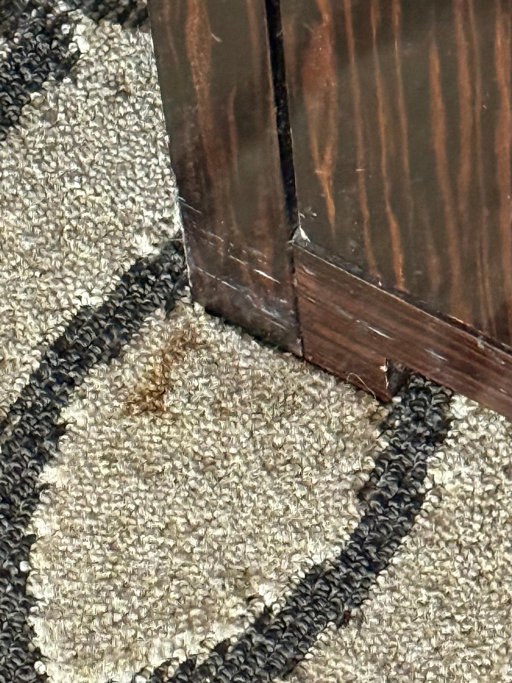 Stained carpet in the room.
