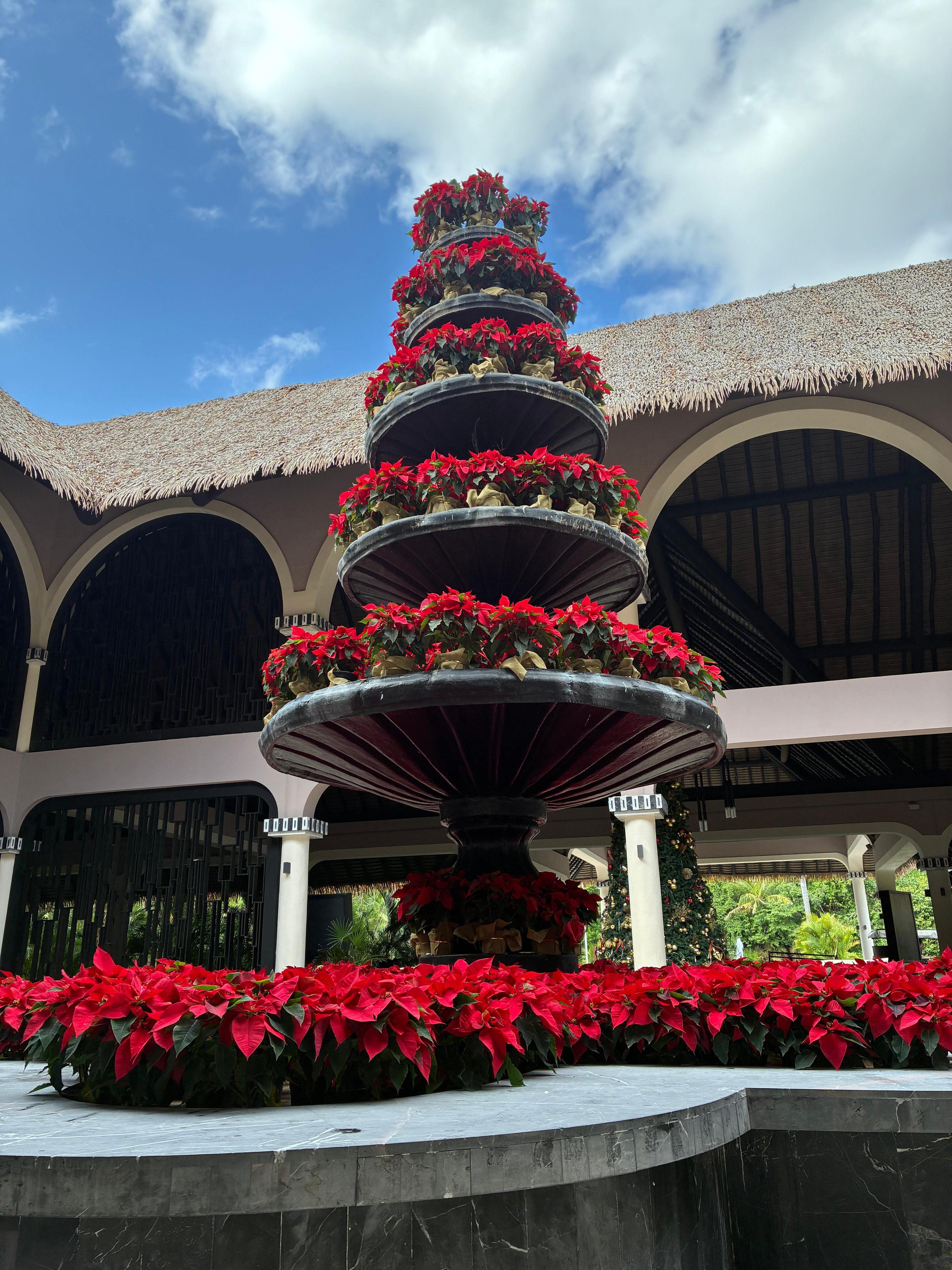 Ready for the season 