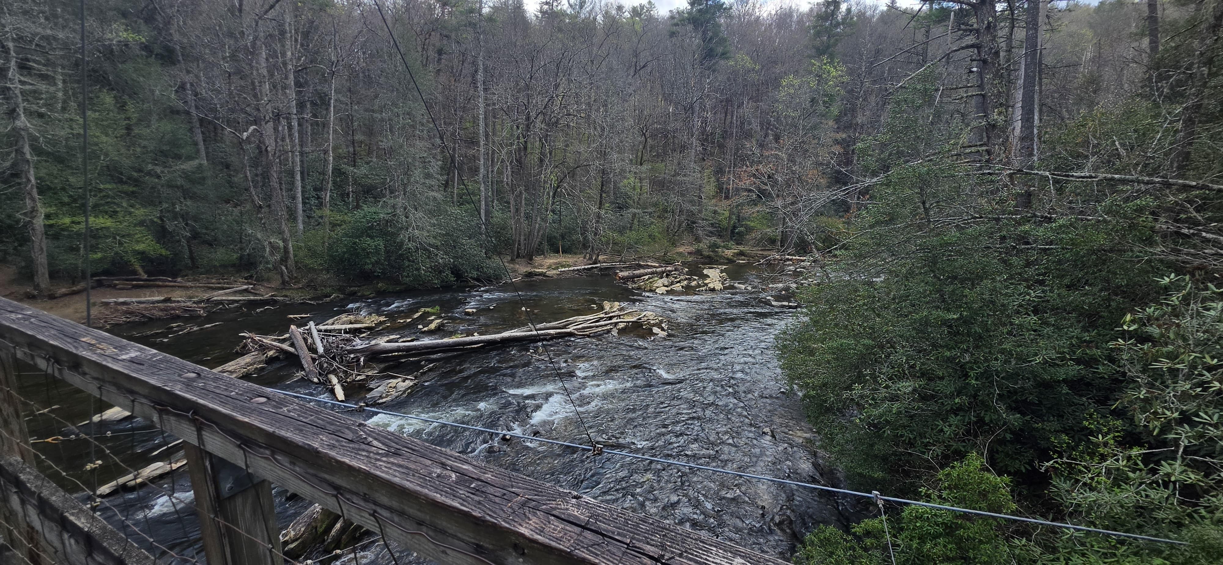 Swinging Bridge on the Toccoa River
