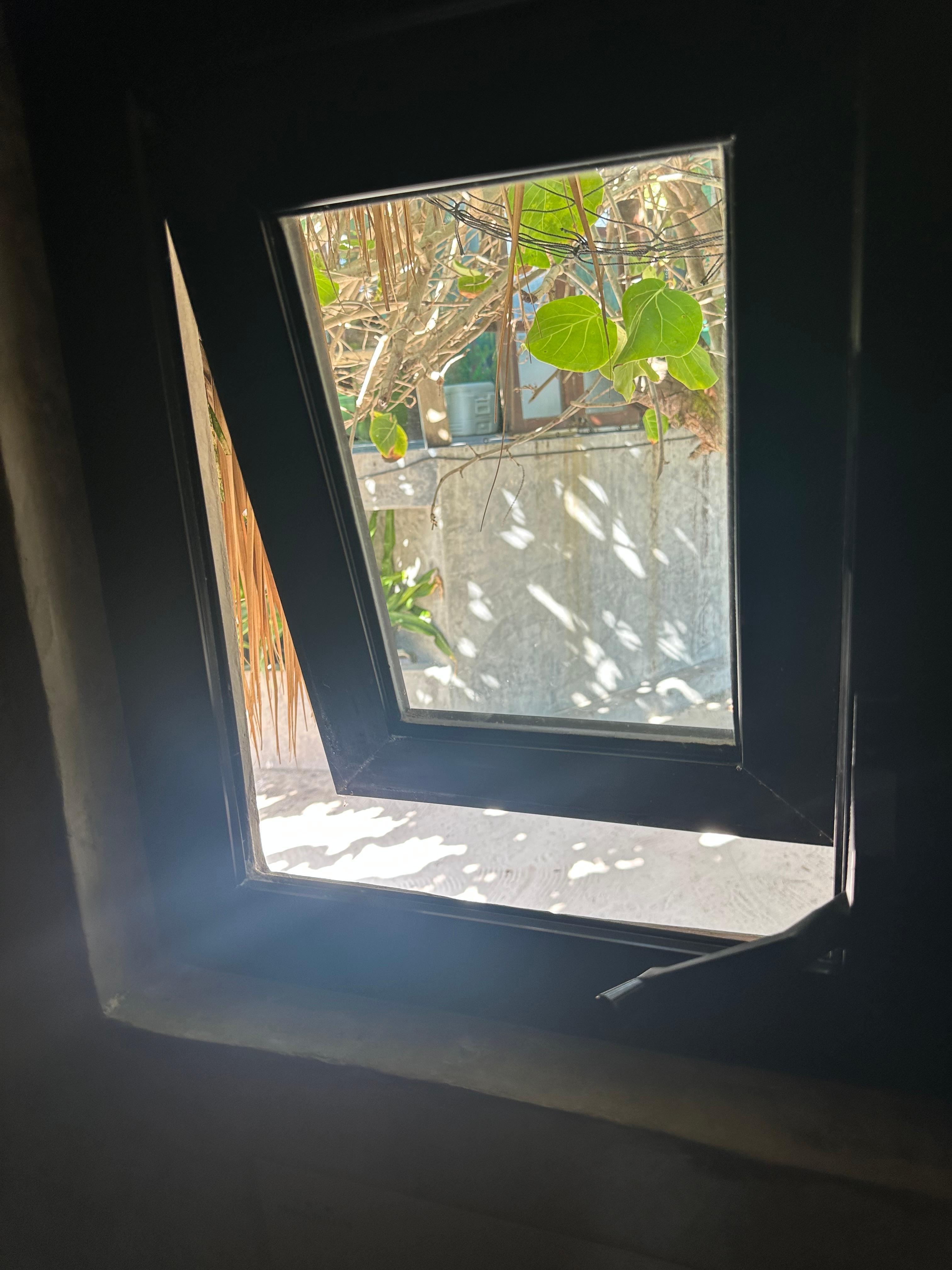 Bathroom window in direct sight of bar