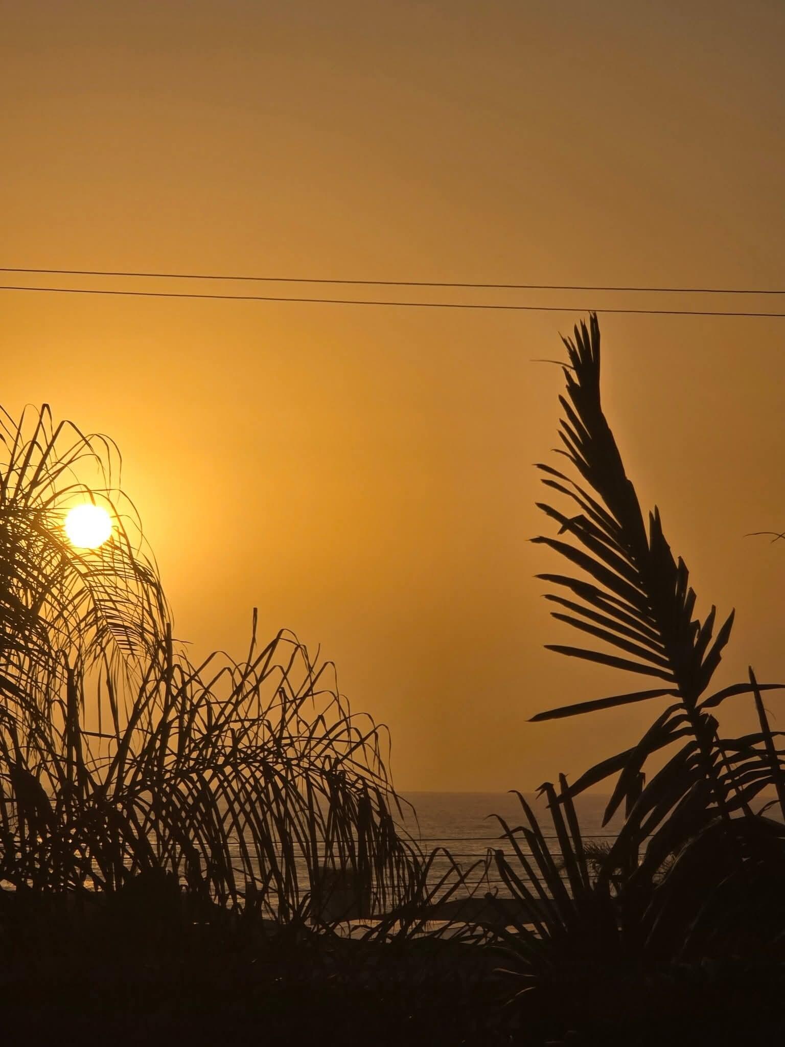 Rooftop sunset